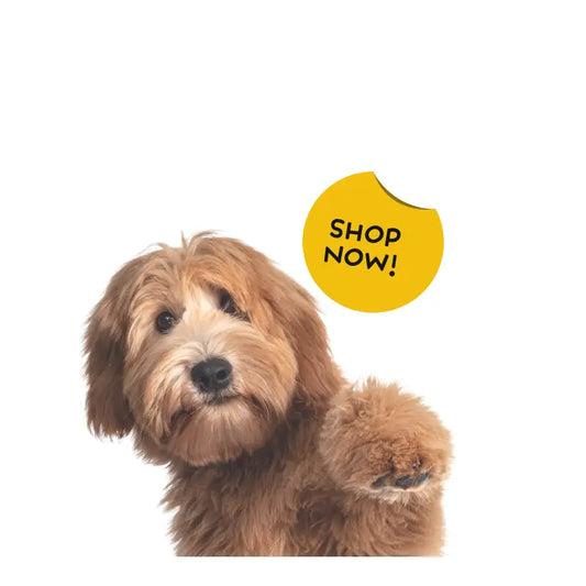 Discover Top Dog Products Including Pet Hair Remover at Flex Genius