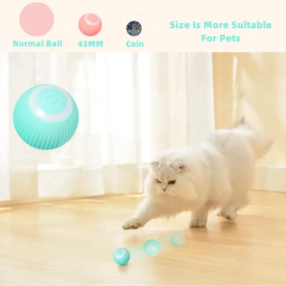 Smart Cat Ball Toys - Pet Supplies